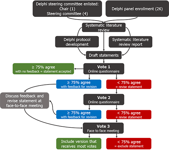 Delphi consensus process diagram